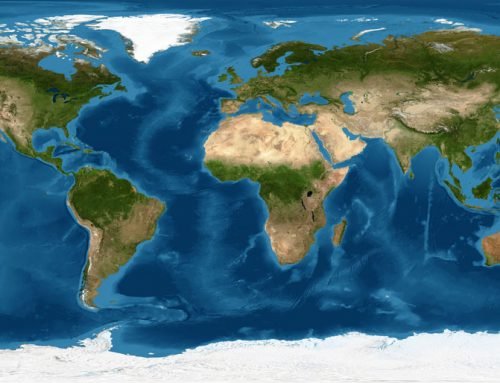 Modelling the mesopelagic fish across the world’s oceans