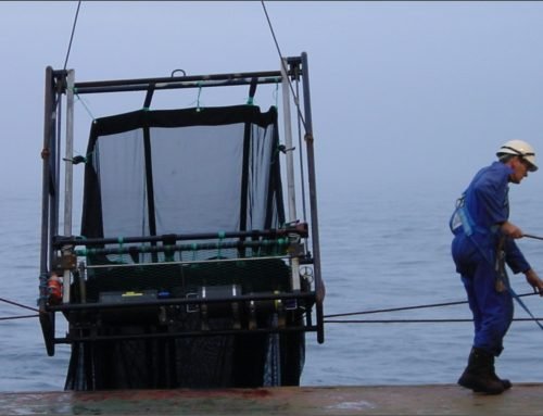 Old data re-Discovered