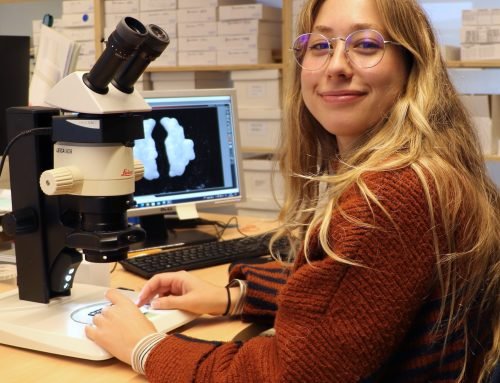 Studying Mesopelagic Fish in Iceland