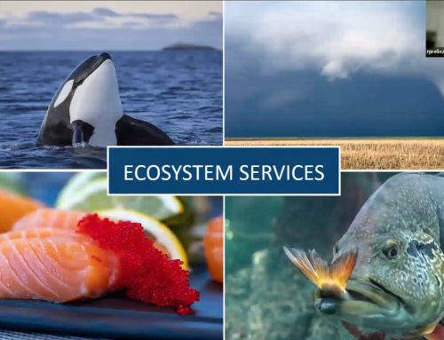 JETZON YouTube Channel